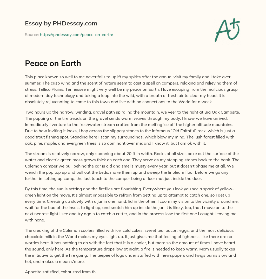 Peace on Earth essay