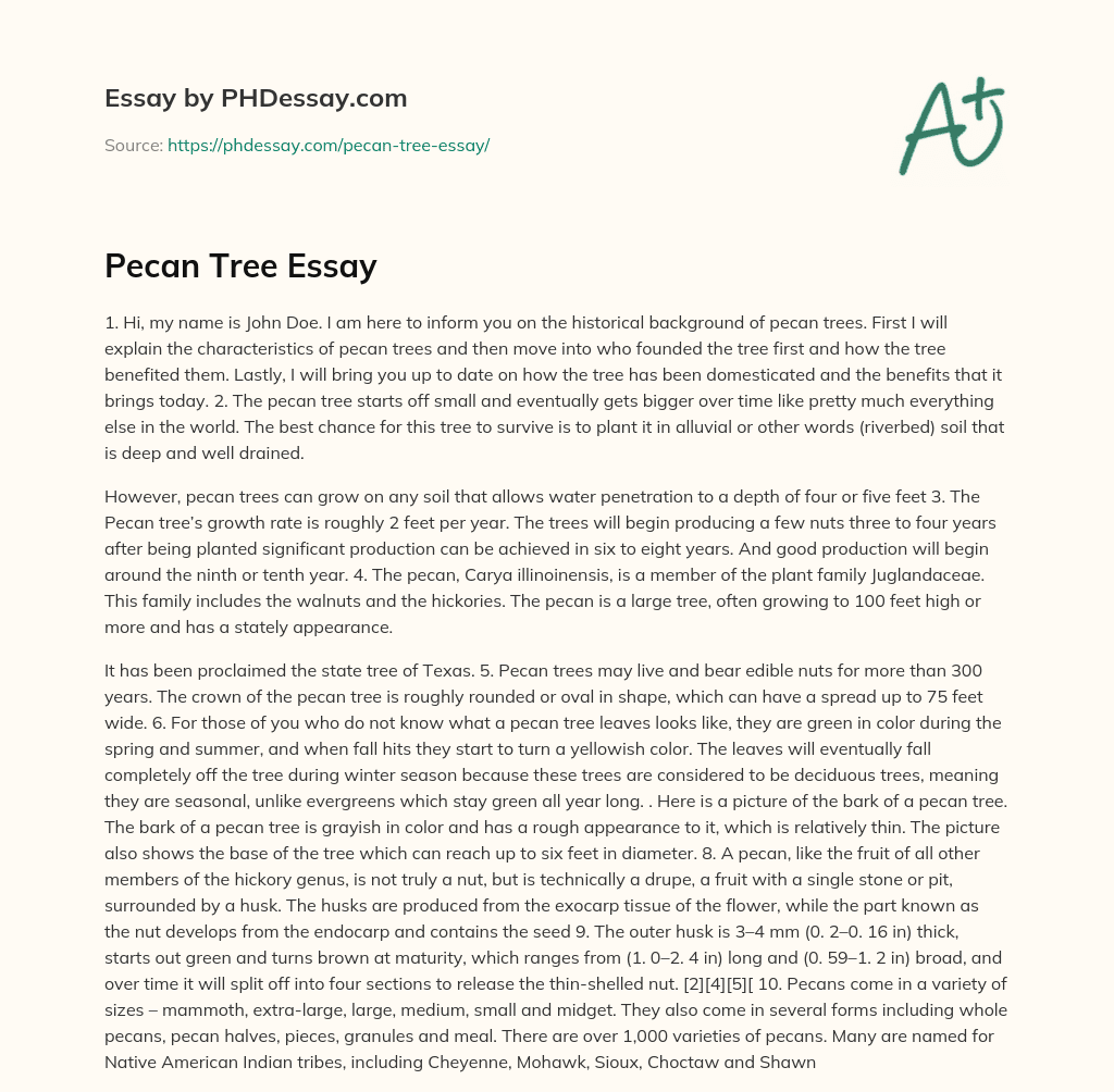 The Historical Background and Characteristics of Pecan Trees essay