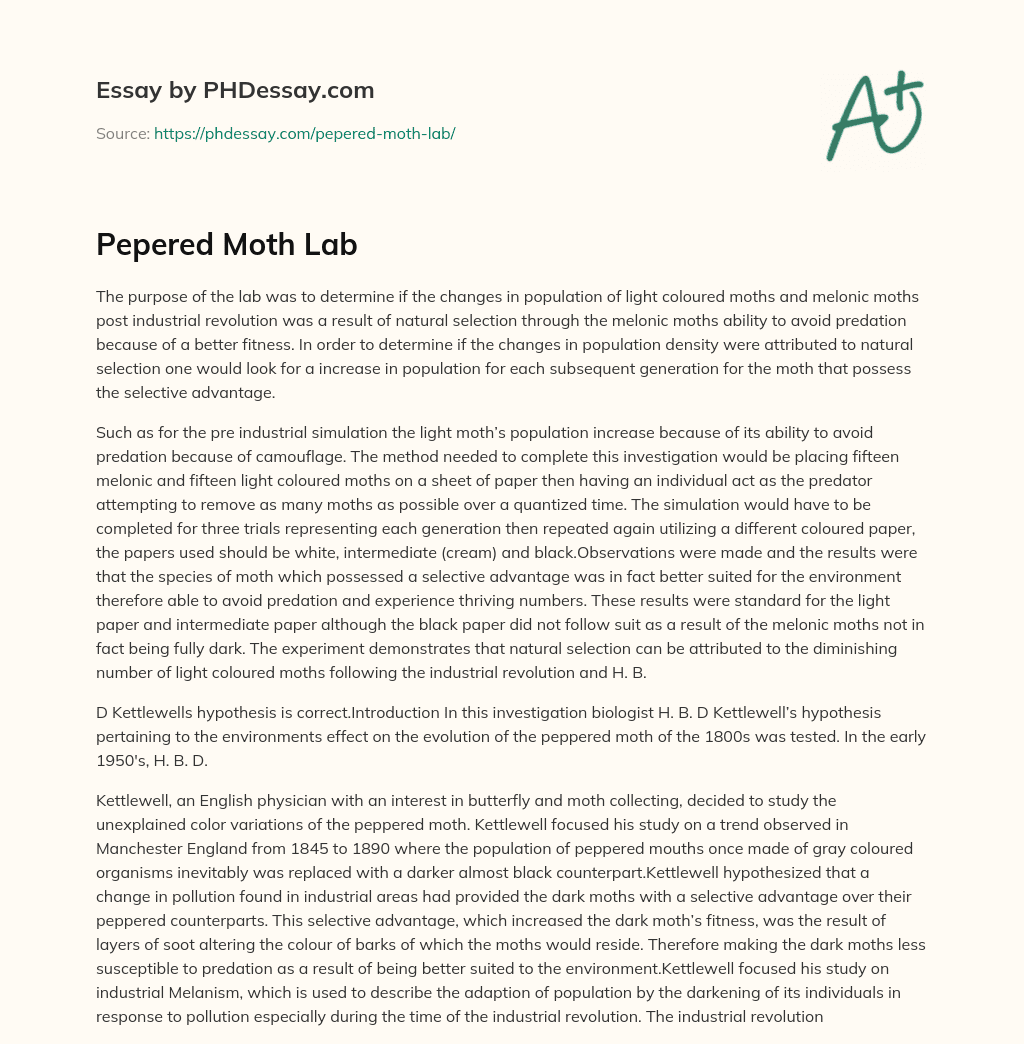 Pepered Moth Lab essay