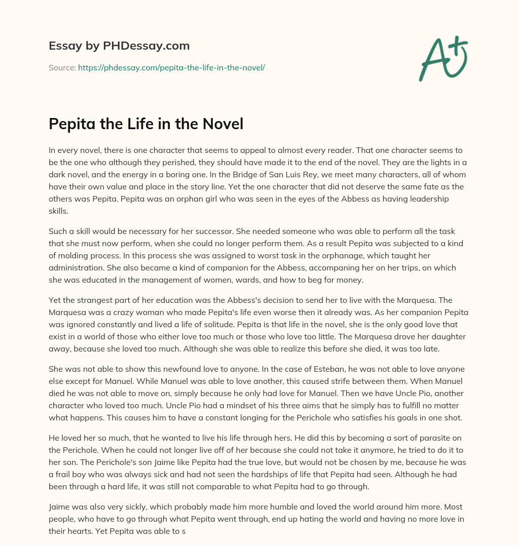 Pepita the Life in the Novel essay