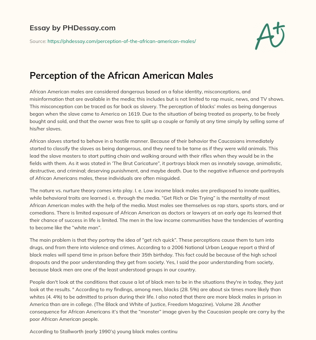 Perception of the African American Males essay