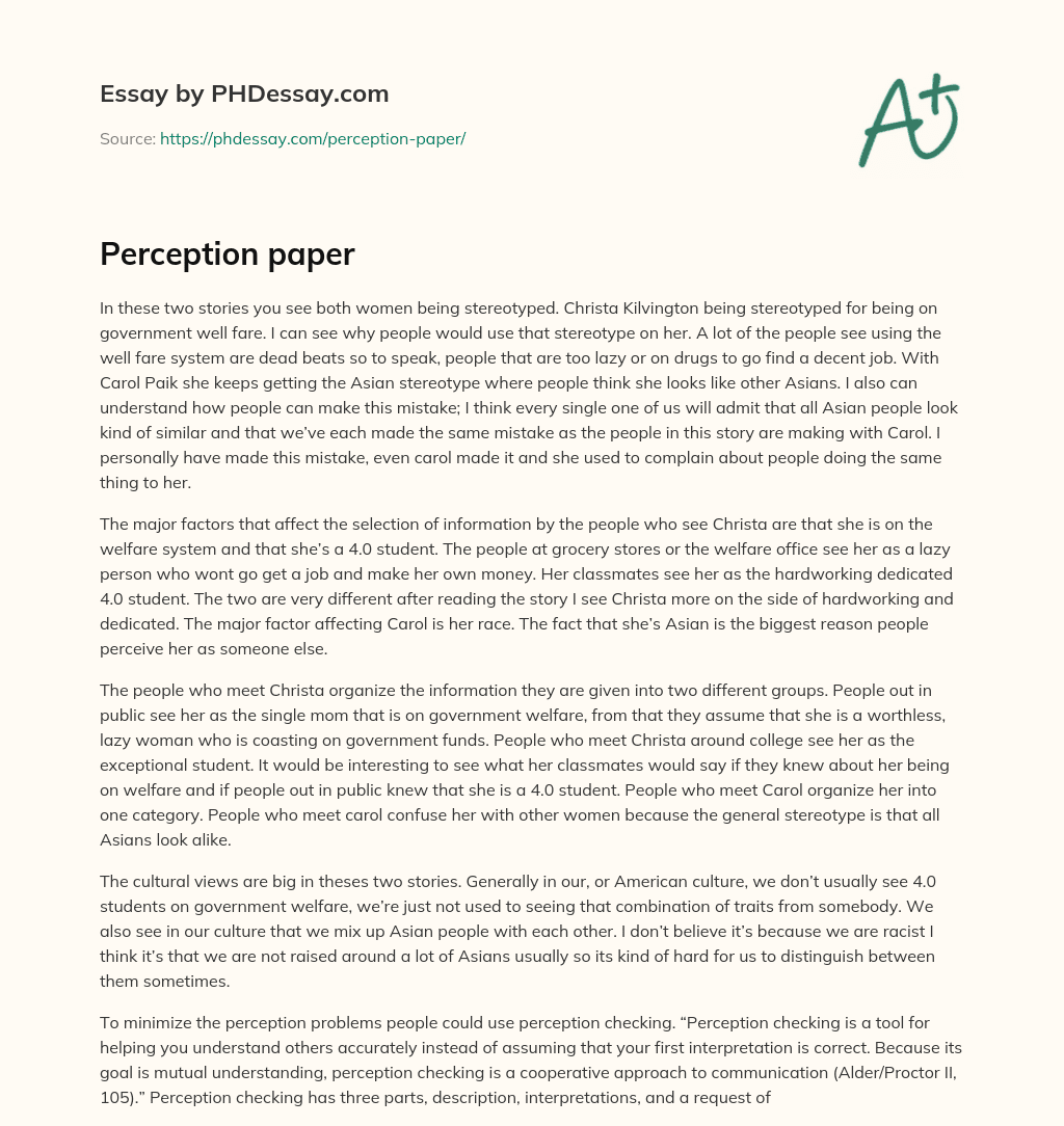 Perception paper essay
