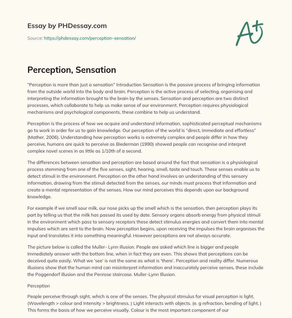 Perception, Sensation essay