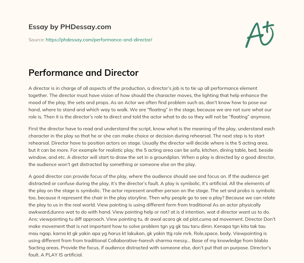 Performance and Director essay