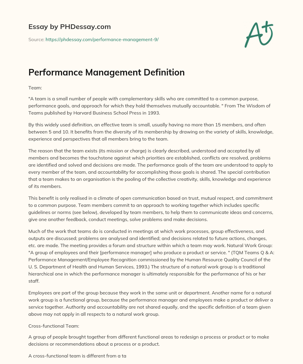 Performance Management Definition essay
