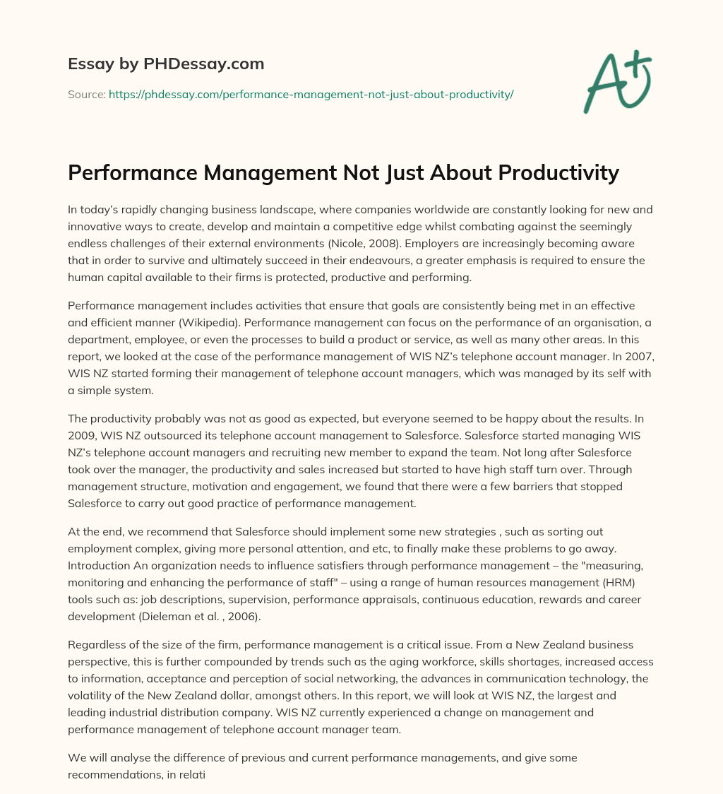 Performance Management Not Just About Productivity essay