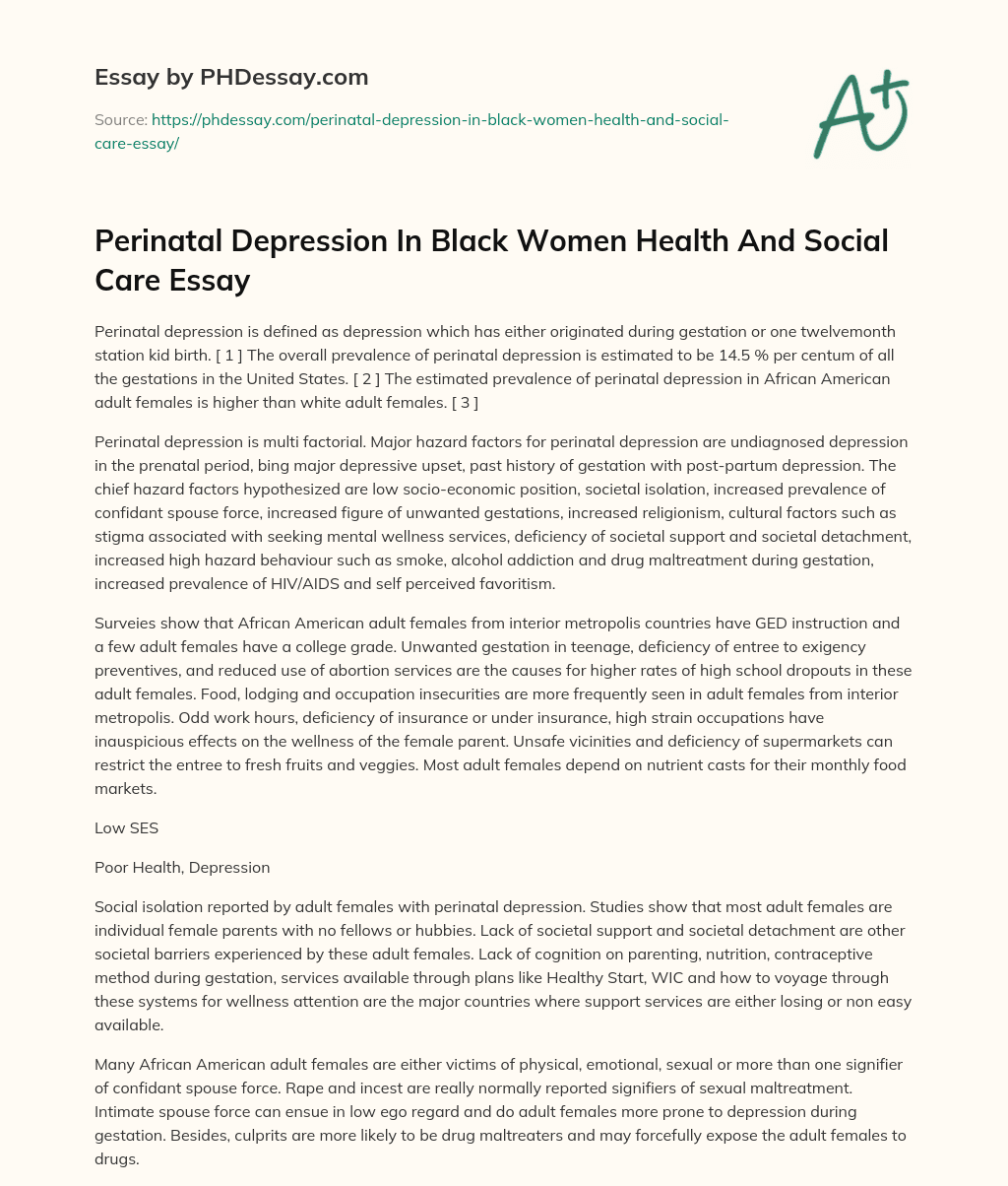 Perinatal Depression In Black Women Health And Social Care Essay essay