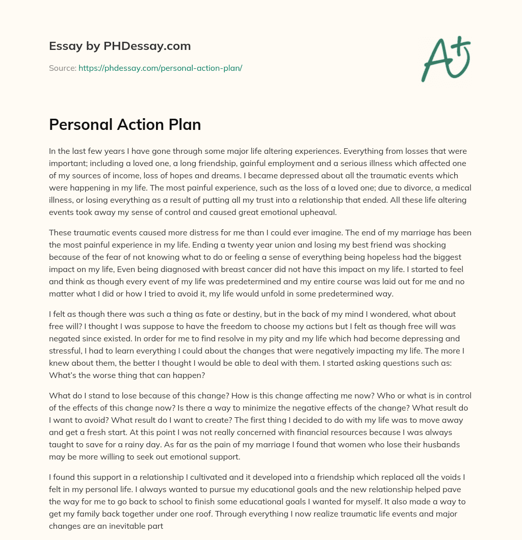 Personal Action Plan essay