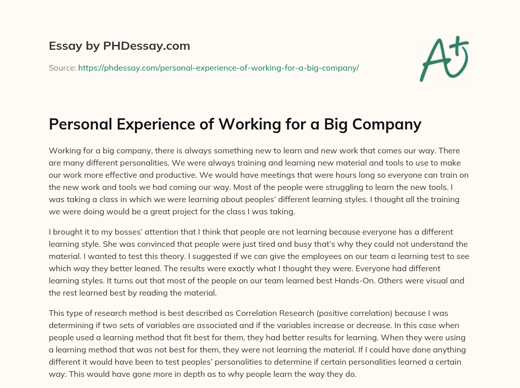 Personal Experience of Working for a Big Company essay