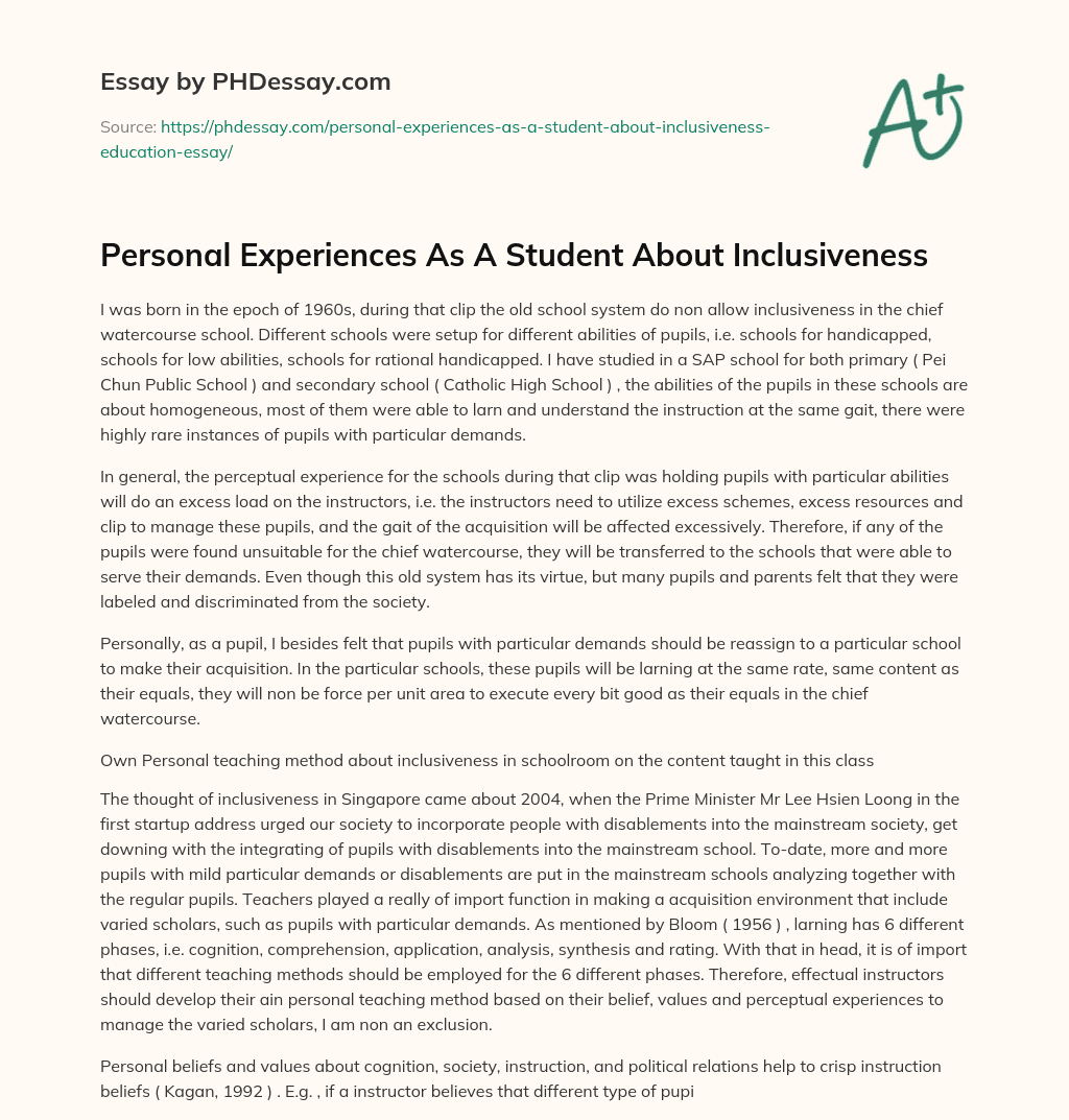 Personal Experiences As A Student About Inclusiveness essay