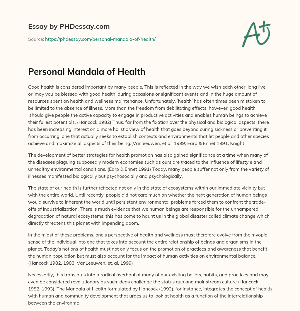 Personal Mandala of Health essay