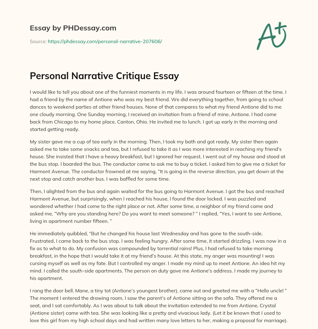 Personal Narrative Critique Essay essay