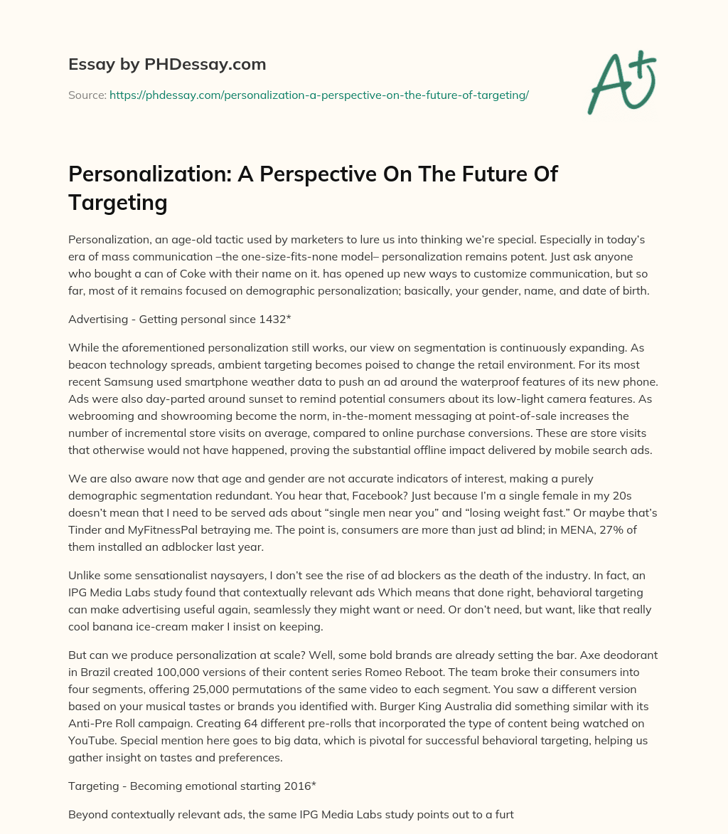 Personalization: A Perspective On The Future Of Targeting essay