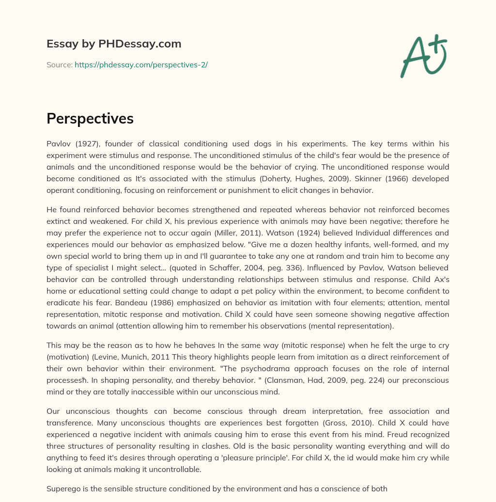 Perspectives essay