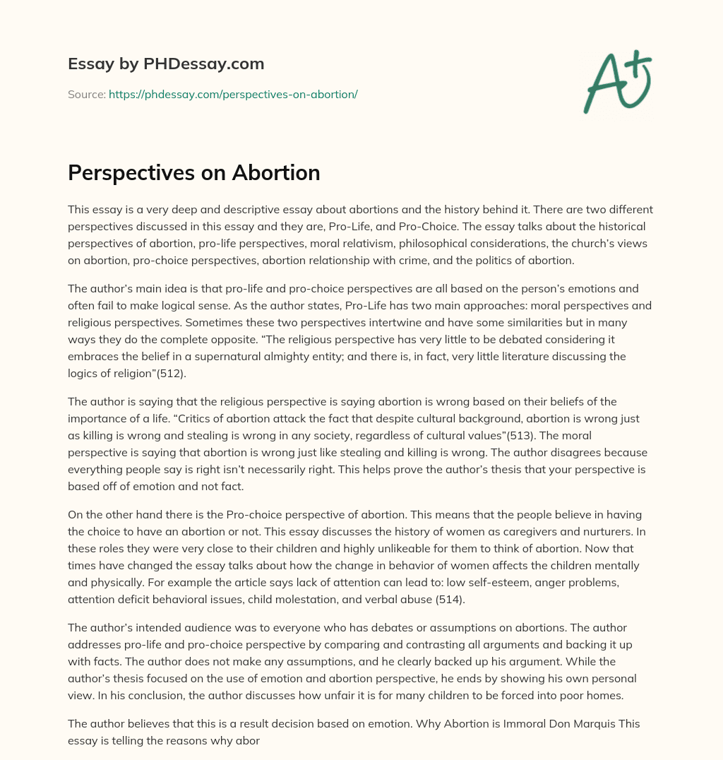 Perspectives on Abortion essay