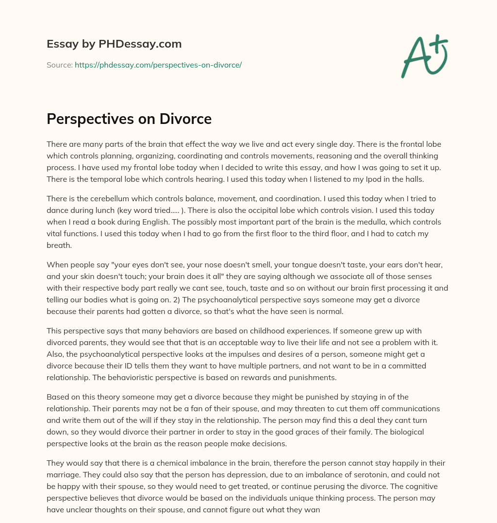 Perspectives on Divorce essay
