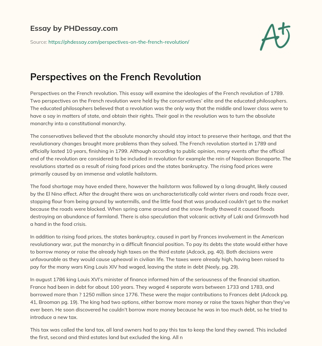 Perspectives on the French Revolution essay