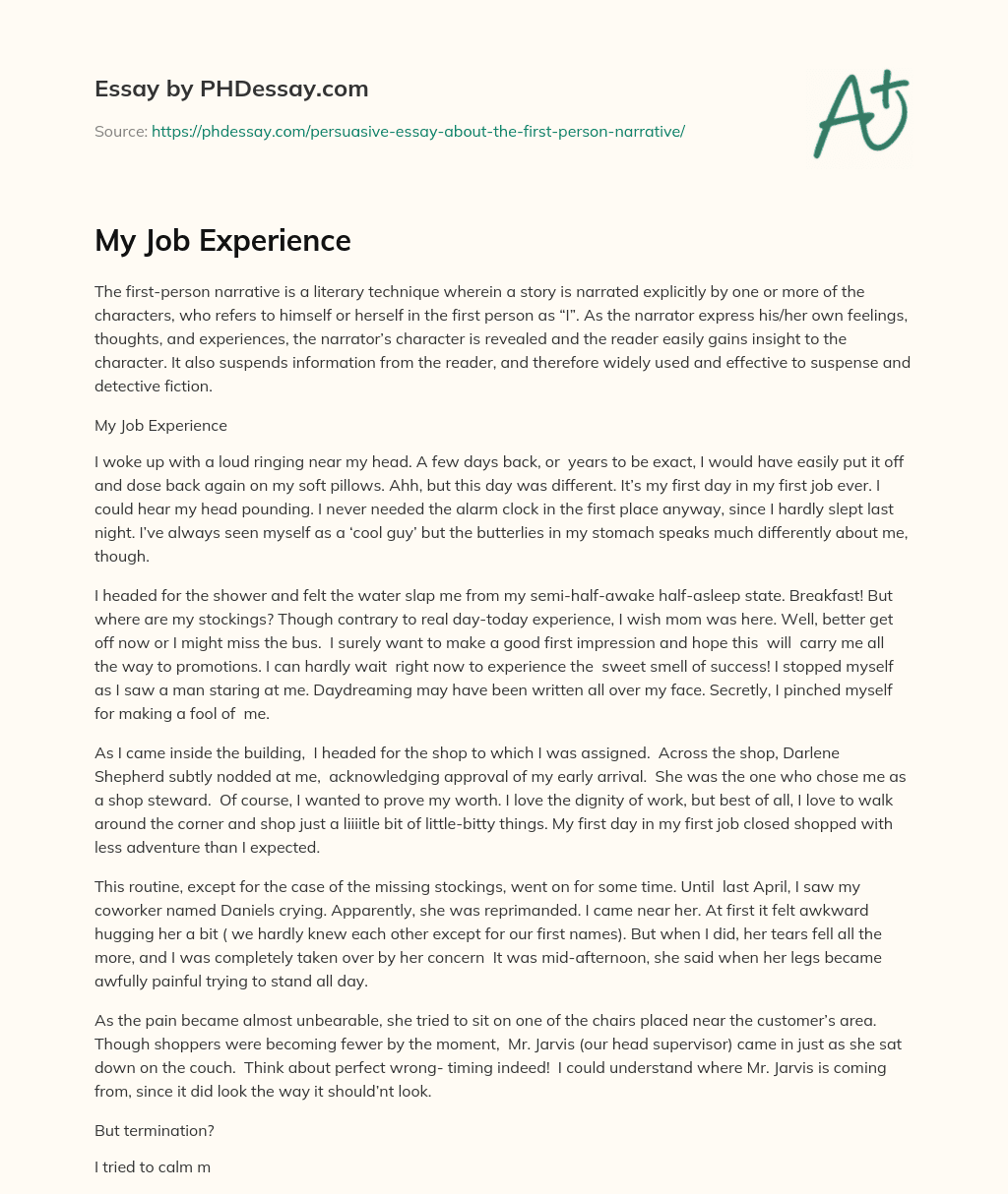My Job Experience essay