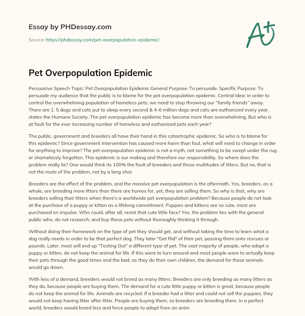 Pet Overpopulation Epidemic essay