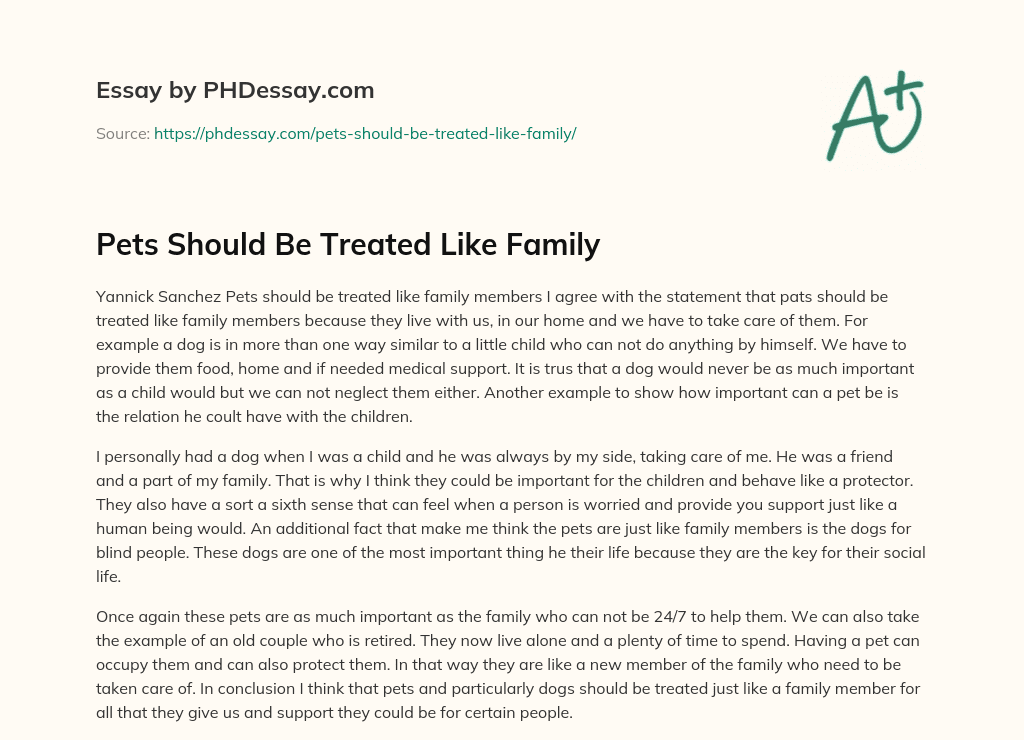 Pets Should Be Treated Like Family essay
