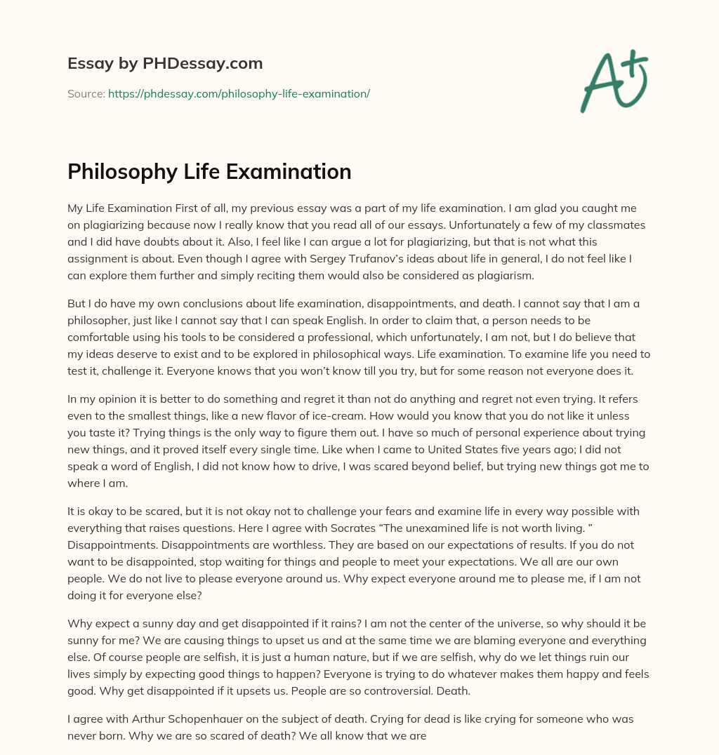 Philosophy Life Examination essay