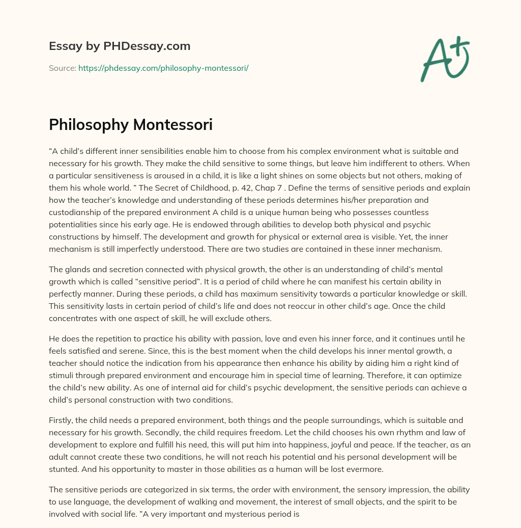 Philosophy Montessori essay