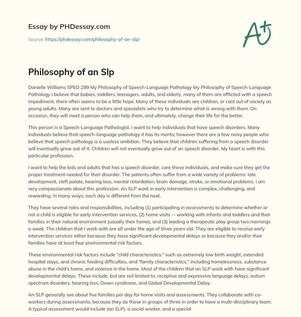 Philosophy of an Slp essay