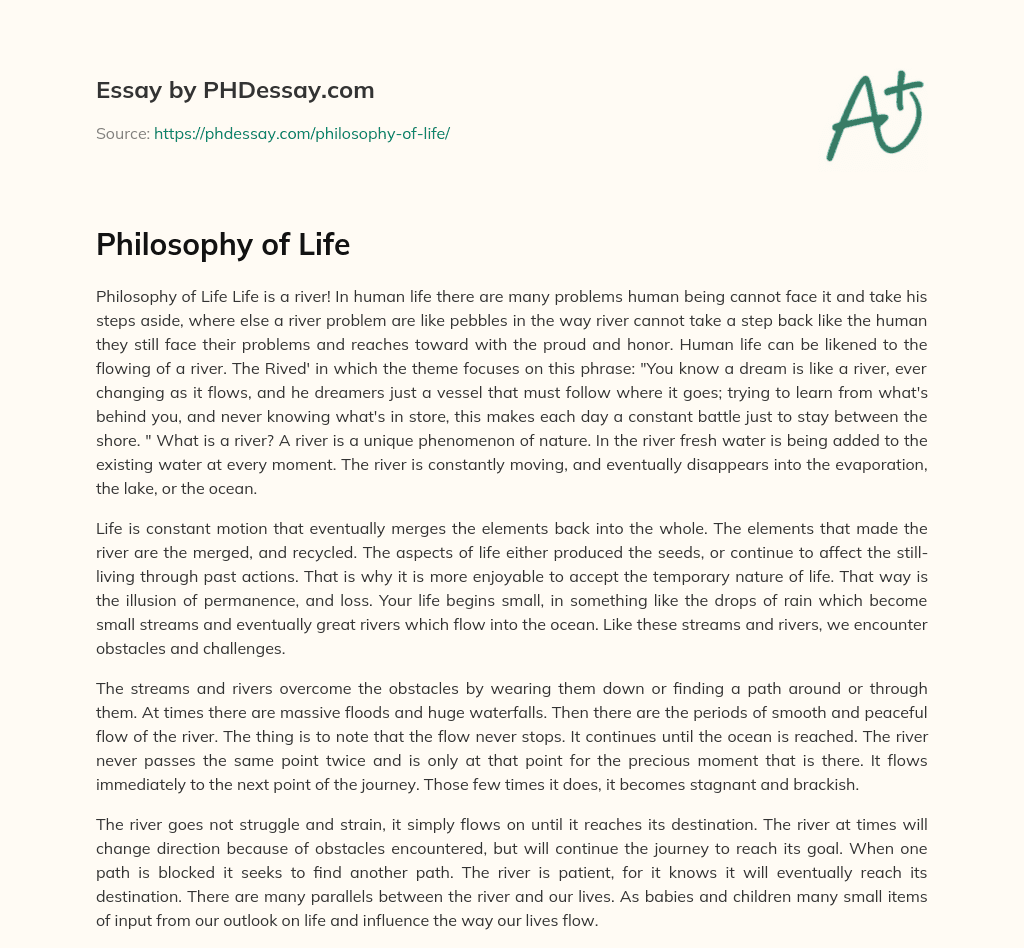 philosophy in life essay