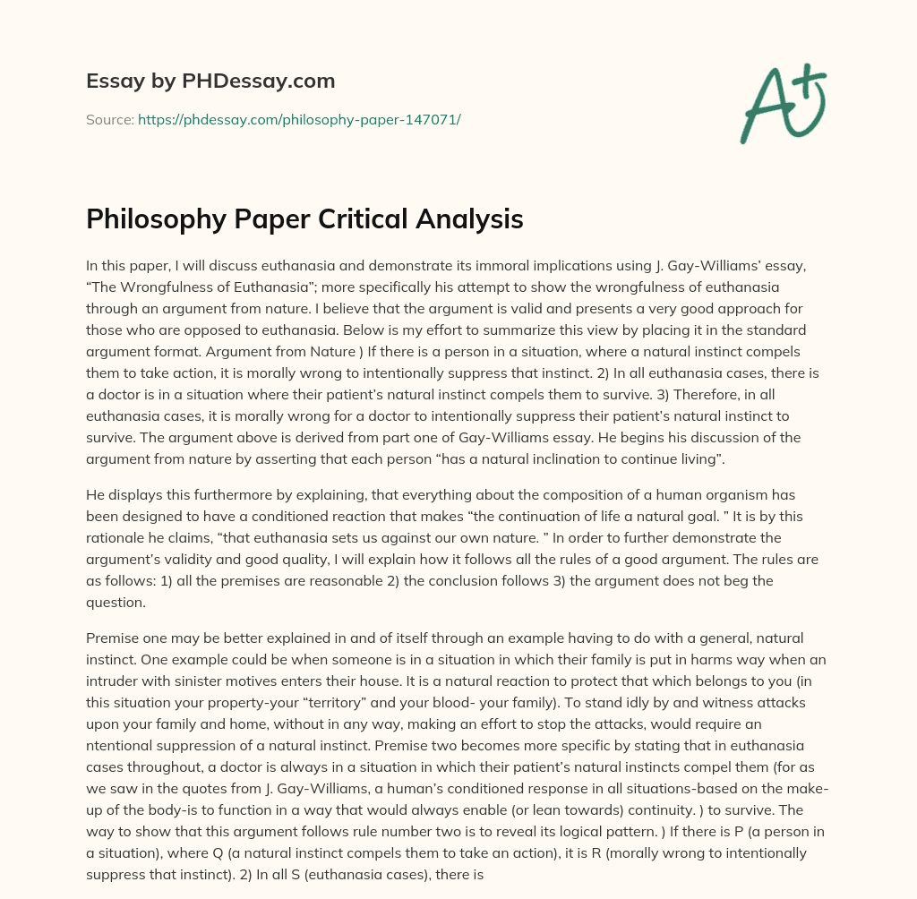 Philosophy Paper Critical Analysis essay