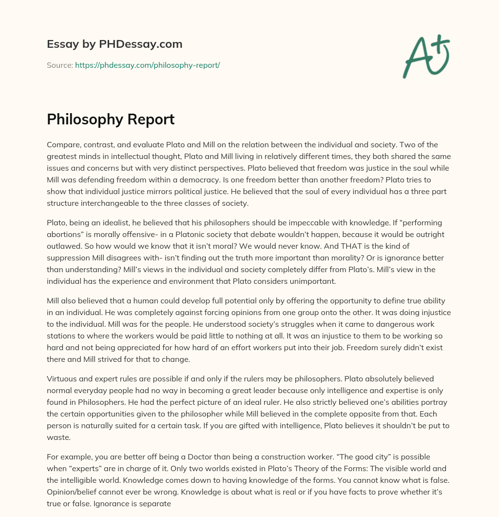 Philosophy Report essay