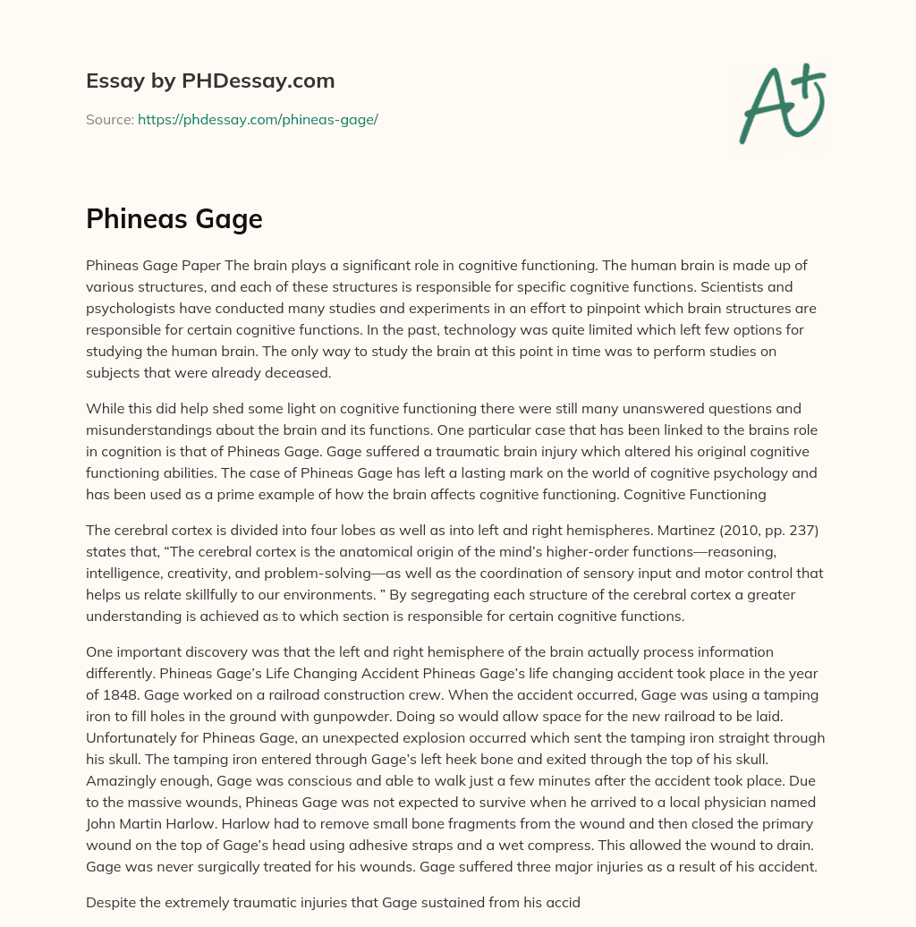 Phineas Gage essay