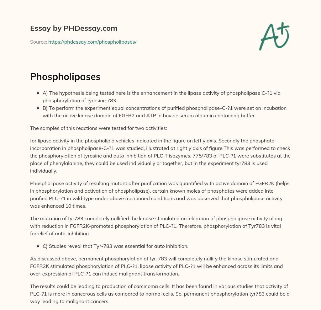 Phospholipases essay