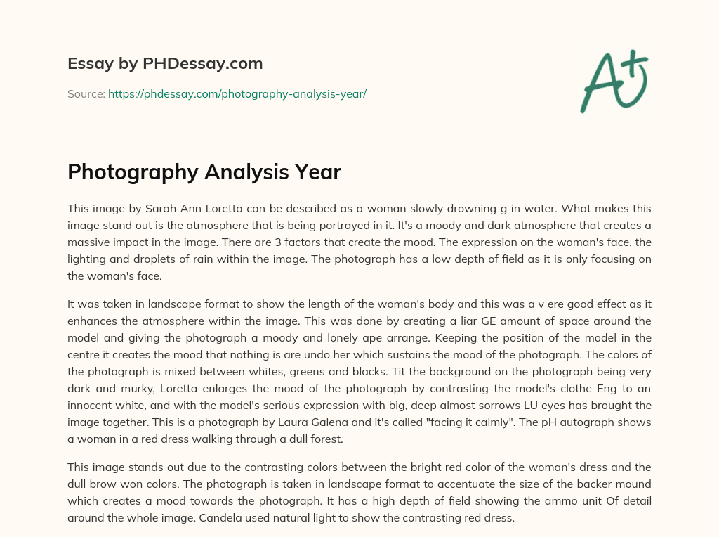 photography analysis essay