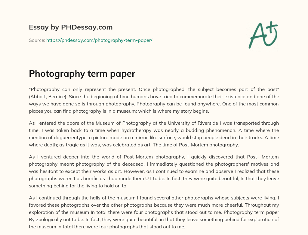 Photography term paper essay