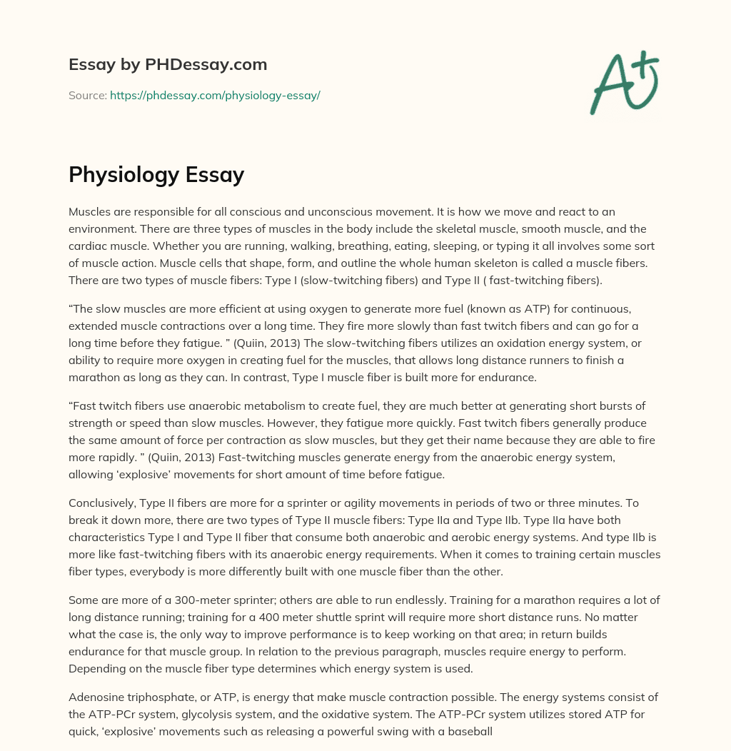 Physiology Essay essay