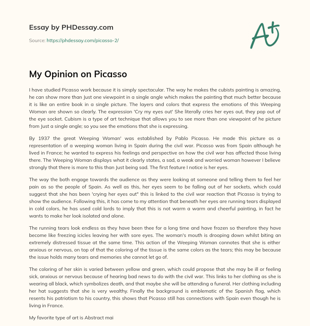 My Opinion on Picasso essay