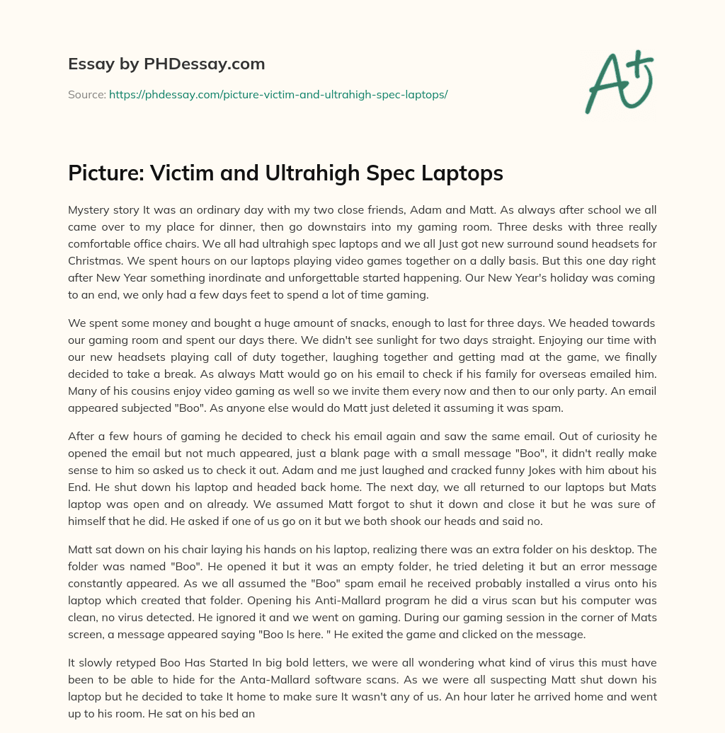 Picture: Victim and Ultrahigh Spec Laptops essay