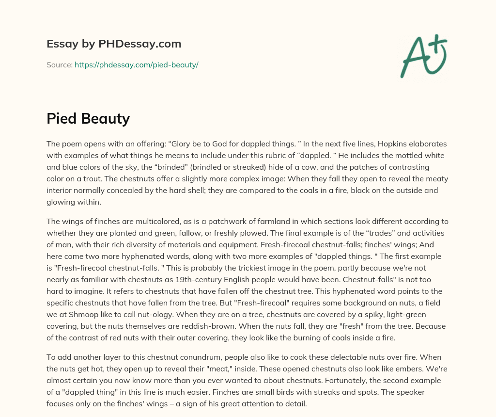 Appreciating the Beauty of Dappled Things essay