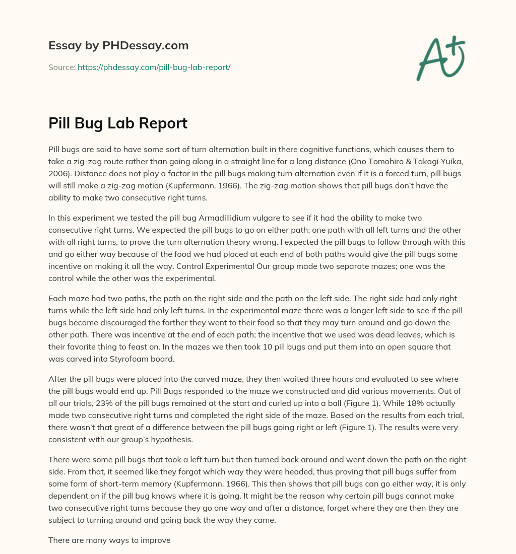 Pill Bug Lab Report essay