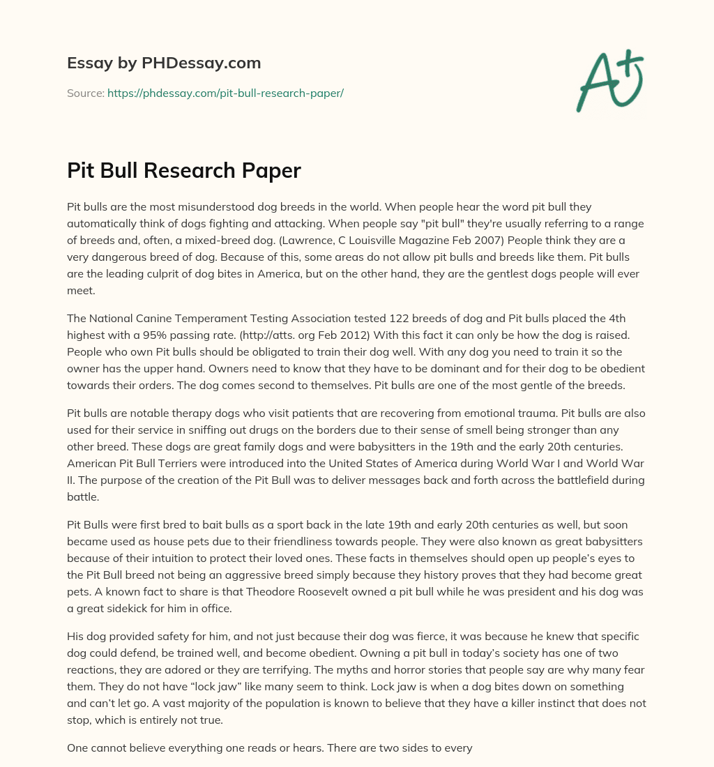 Pit Bull Research Paper essay