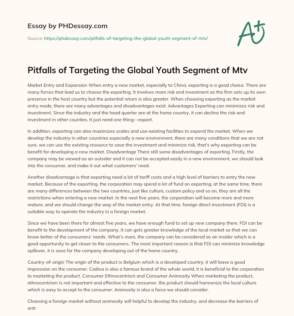 Pitfalls of Targeting the Global Youth Segment of Mtv essay