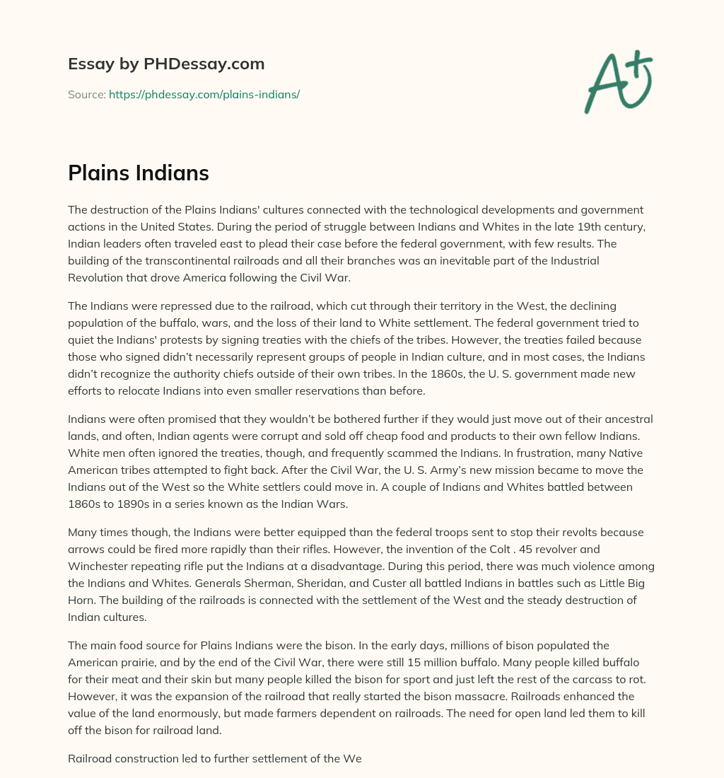 Plains Indians essay