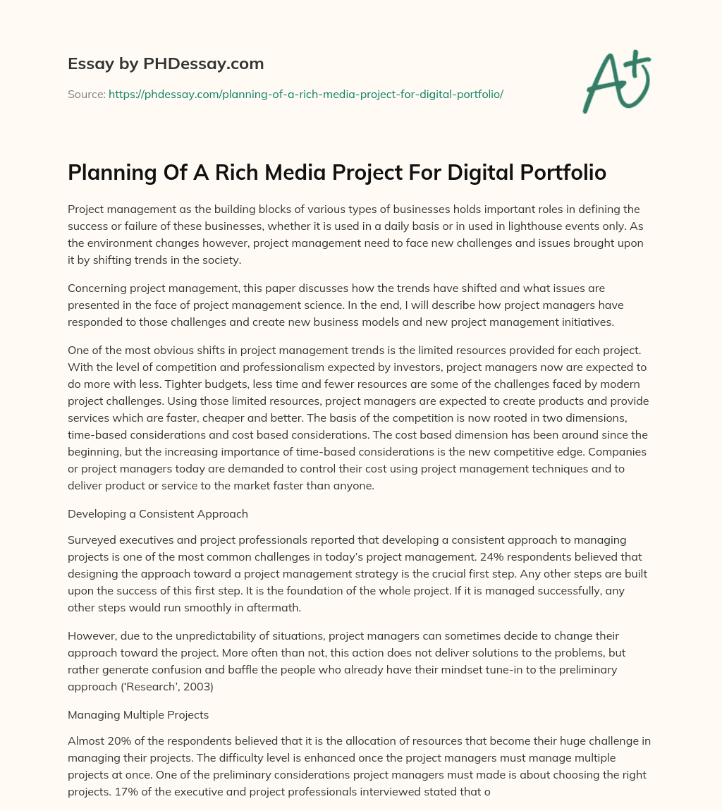 Planning Of A Rich Media Project For Digital Portfolio essay