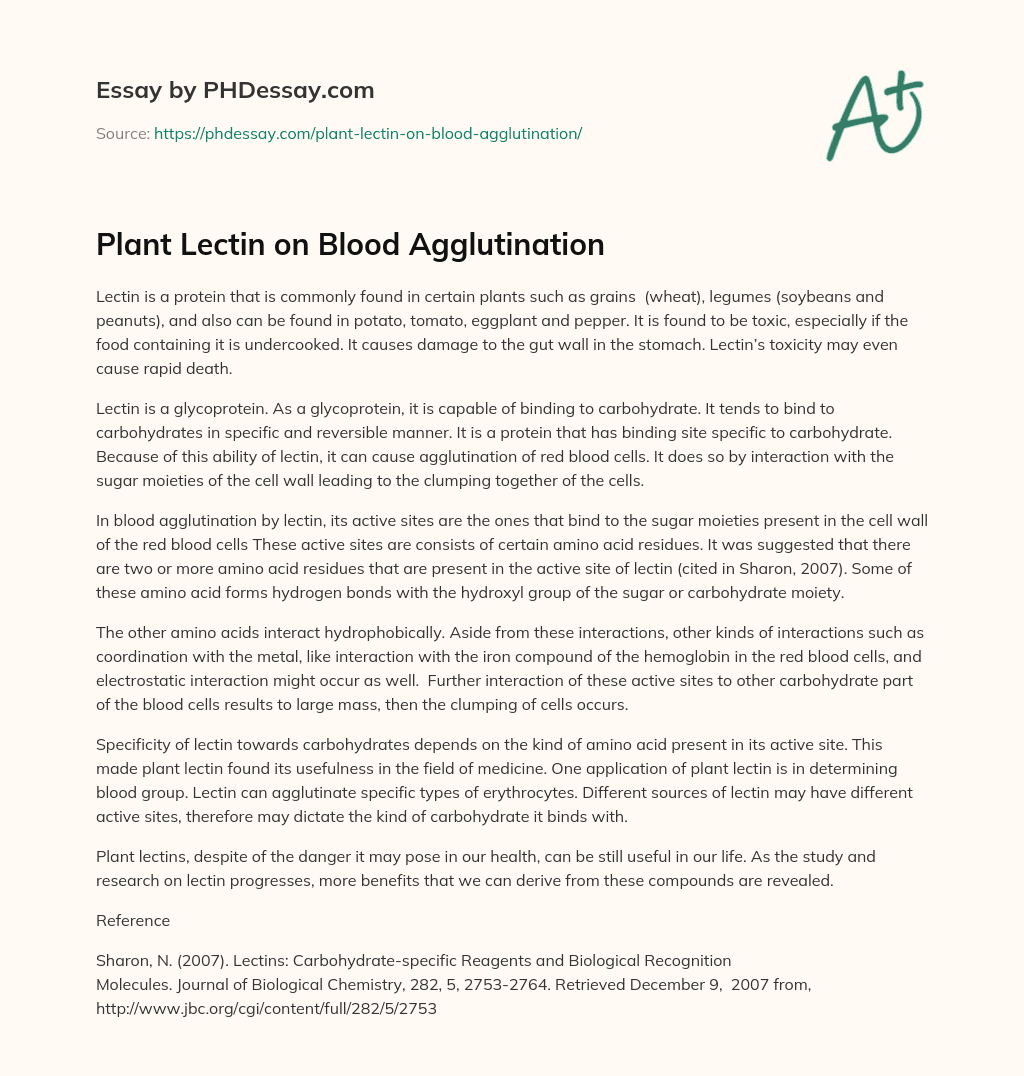 Plant Lectin on Blood Agglutination essay