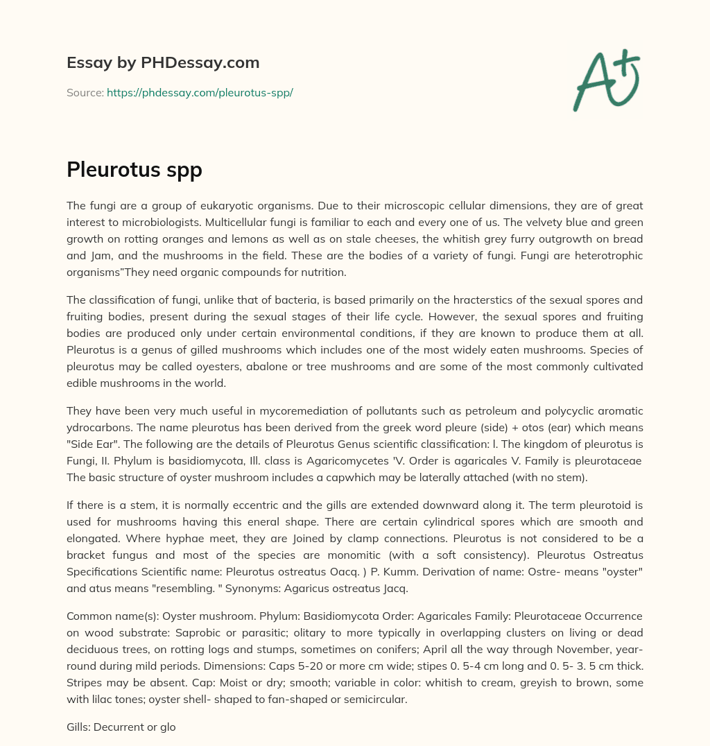Pleurotus spp essay