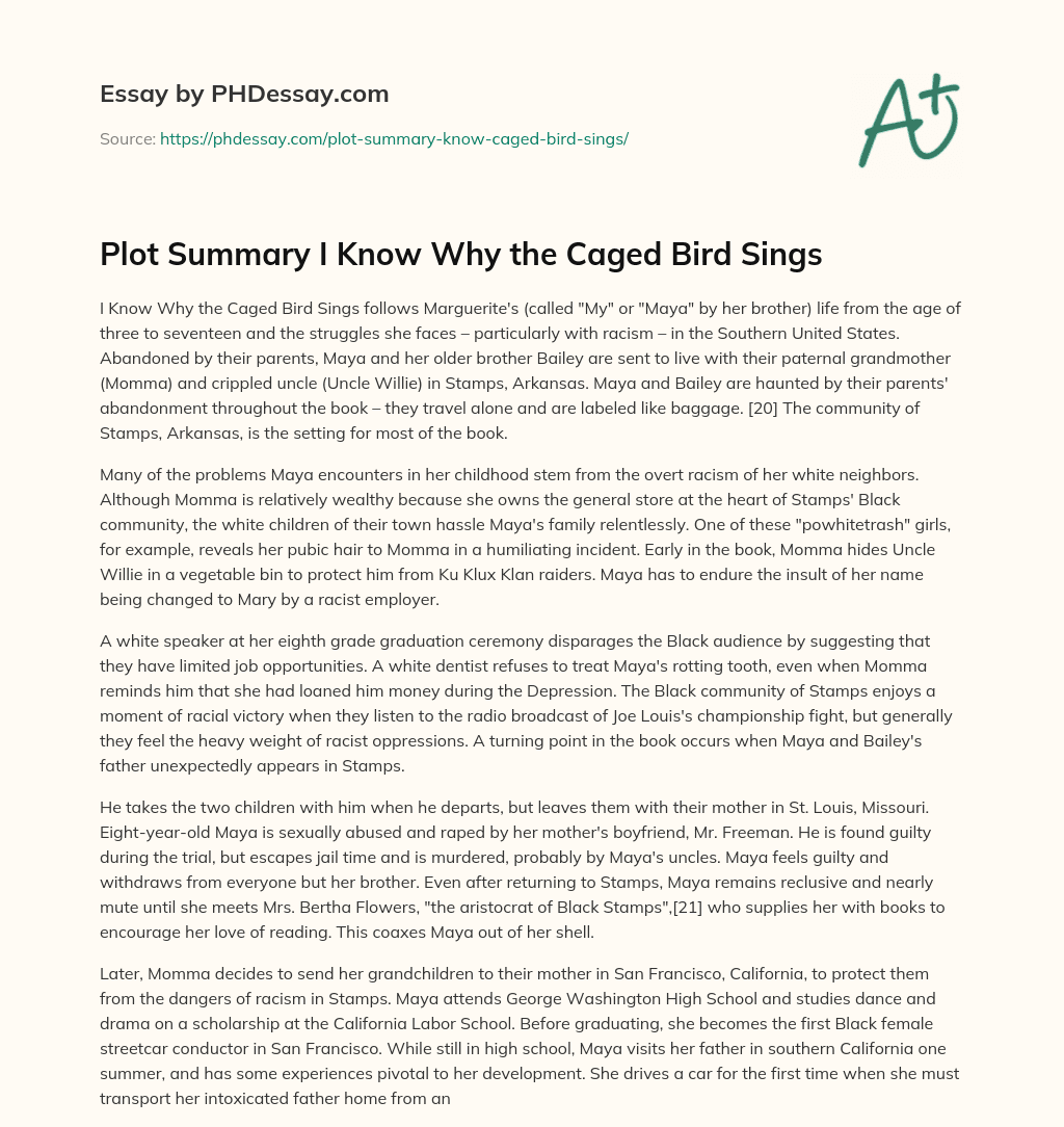 Plot Summary I Know Why the Caged Bird Sings essay