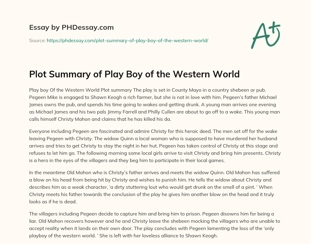 Plot Summary of Play Boy of the Western World essay