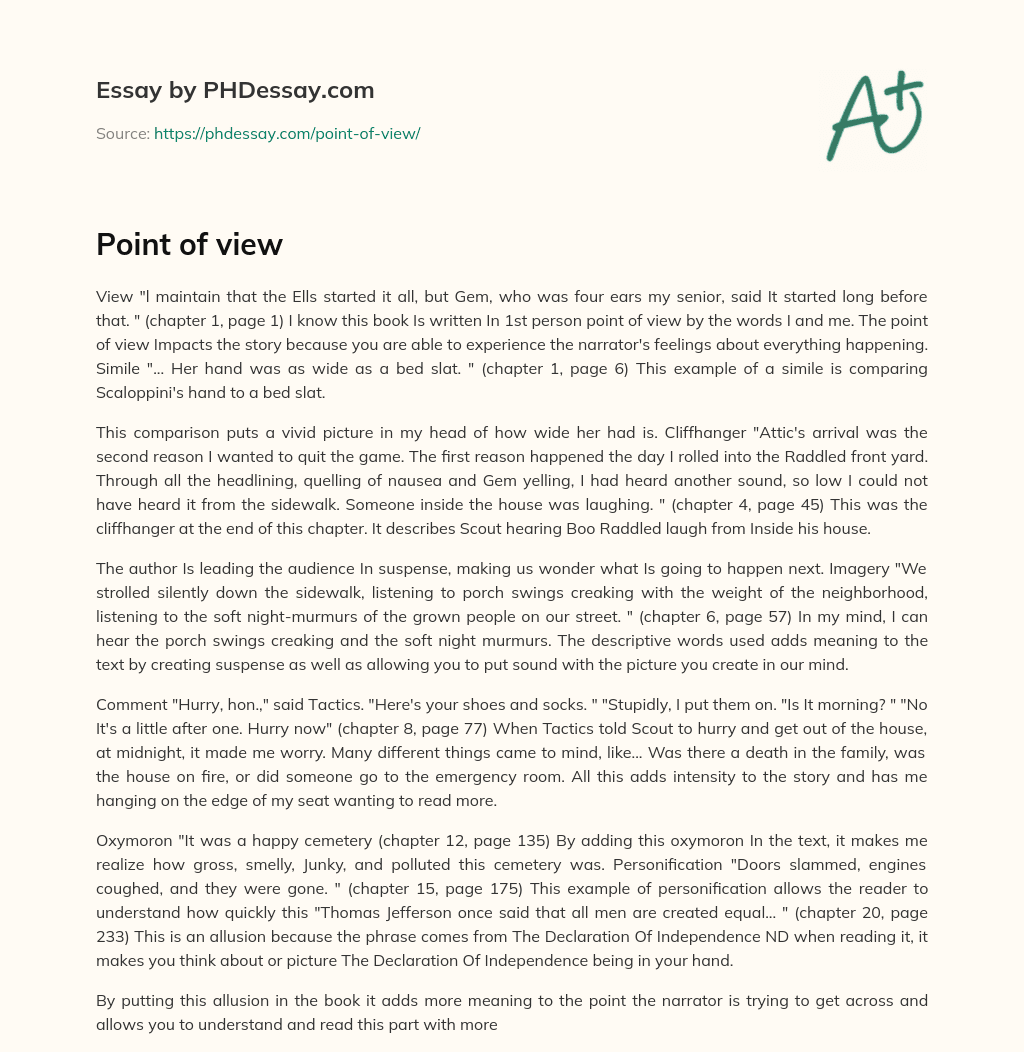 Point of view essay