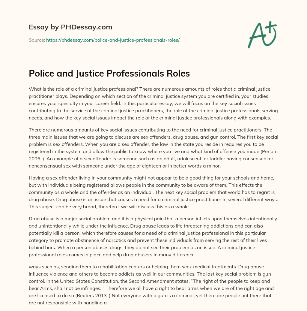 Police and Justice Professionals Roles essay