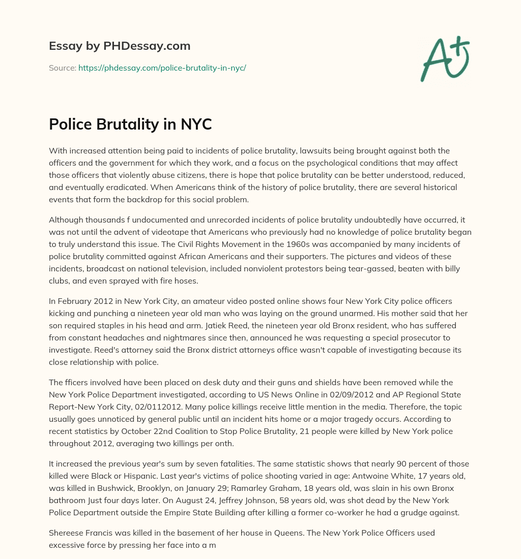 Police Brutality in NYC essay